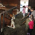 Semesterbostad Exenbacher Hof Traumbauernhaus S'haisl
