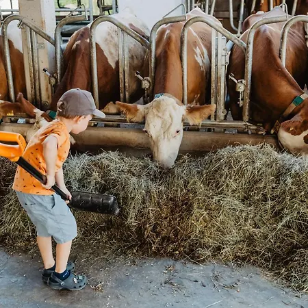 Exenbacher Hof Traumbauernhaus S'haisl Prázdninový dům *