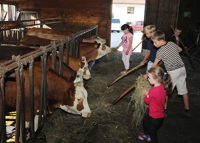 Ferienhaus Exenbacher Hof Traumbauernhaus S´haisl